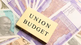 Union Budget 2024-25: Know Difference Between Interim Budget And Full Budget